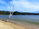 abeltasman (36)
